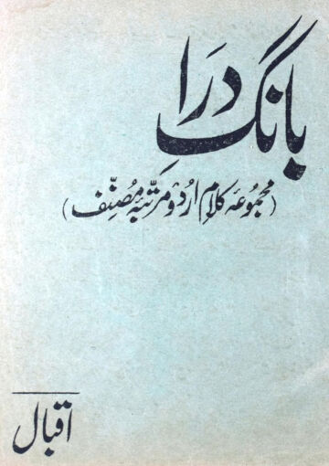 Cover of bangidara