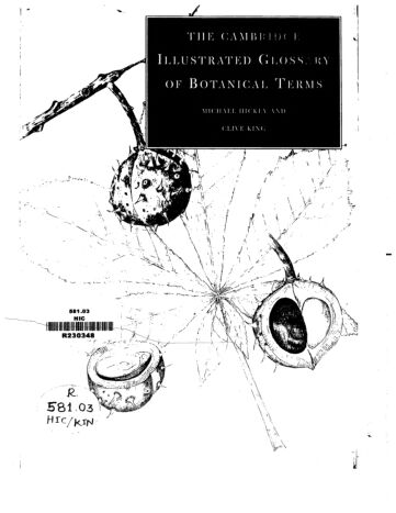 Cover of Cambridge dictiobry