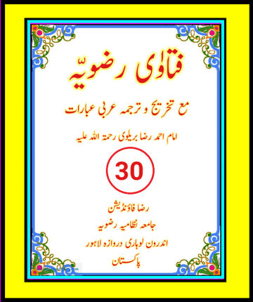 Cover of فتاوٰی رضویہ جلد نمبر ( 30 ) ۔