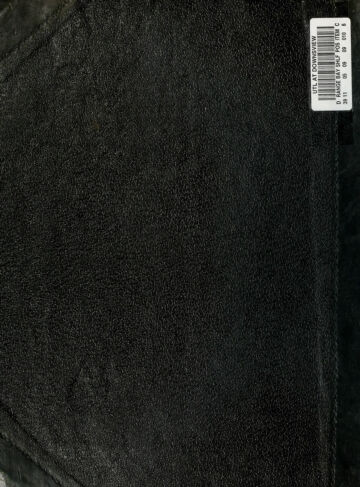 Cover of نور اللغات ـ جلد 2